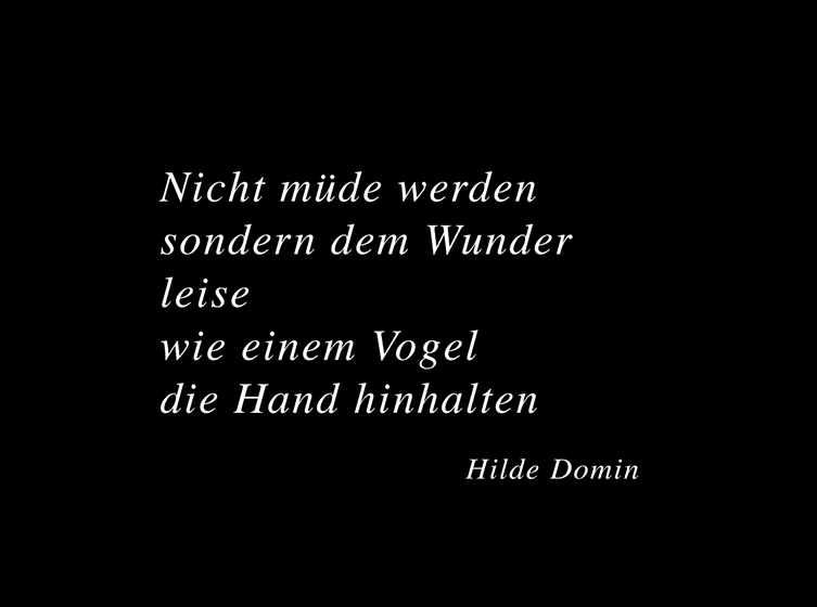 Lisa Brönnimann - Spitalstrasse 1